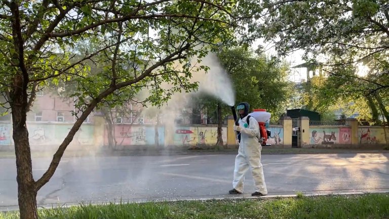 Первый этап борьбы с горностаевой молью провели в Иркутске